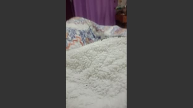 SirenaMistik oral Webcam SHOW @ Cam4 10-07-2025