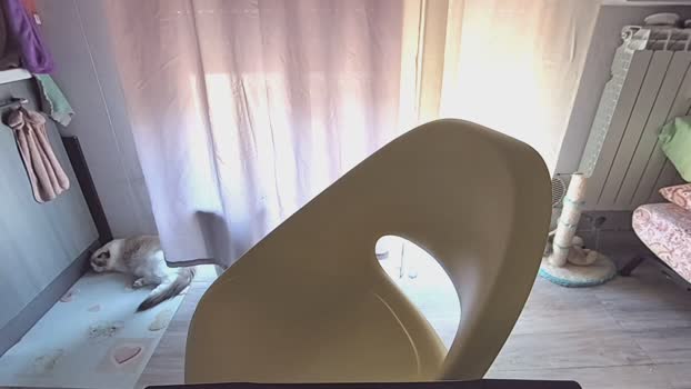 _celeste_678 ass Webcam SHOW @ Cam4 15-07-2025
