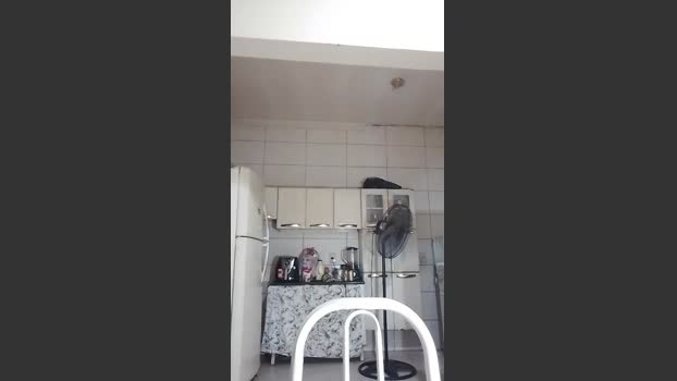 leticiaquer lush Webcam SHOW @ Cam4 24-07-2025