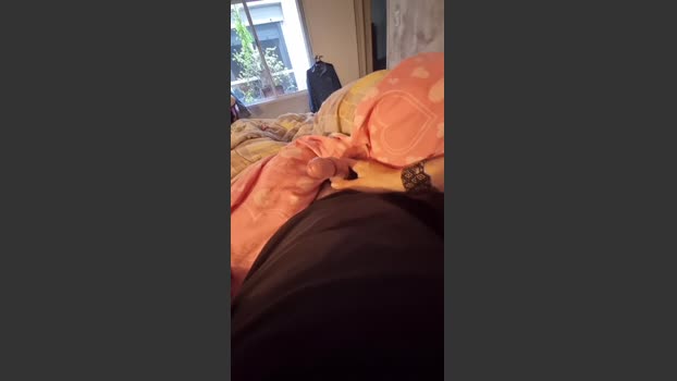 parejabomba1 nasty Webcam SHOW @ Cam4 06-08-2025