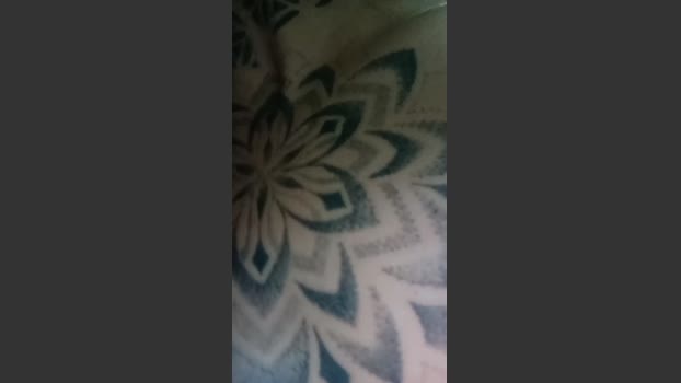 porcellina181 hard Webcam SHOW @ Cam4 13-08-2025