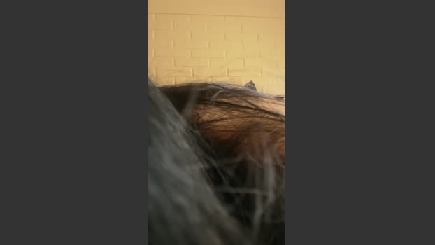candydreams6 analsex Webcam SHOW @ Cam4 16-08-2025