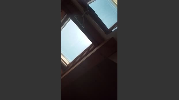 sexyteenandpapi analsex Webcam SHOW @ Cam4 22-08-2025