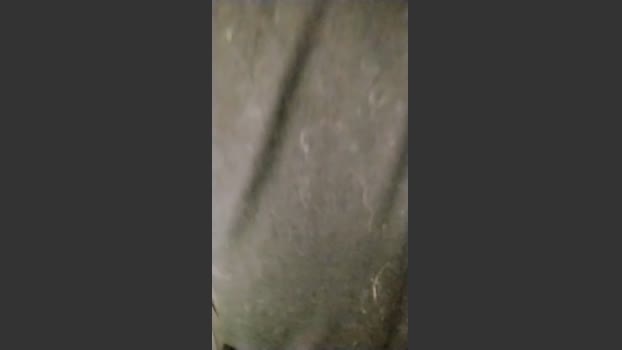 shemeka beauty Webcam SHOW @ Cam4 22-08-2025