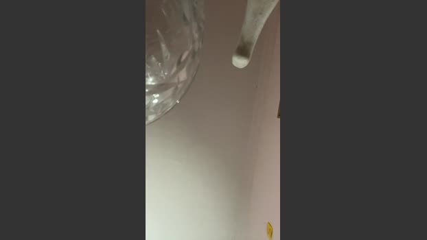 Brujadevenus fuckface Webcam SHOW @ Cam4 25-08-2025