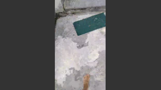 luxxuriax fuckass Webcam SHOW @ Cam4 27-08-2025