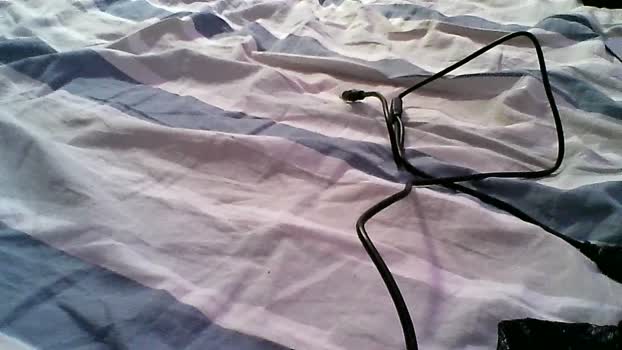 giada47 sex Webcam SHOW @ Cam4 31-08-2025