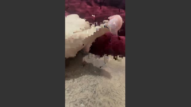 Luasweet wet Webcam SHOW @ Cam4 04-09-2025