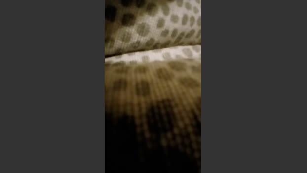 alessandravite1 prettyface Webcam SHOW @ Cam4 06-09-2025