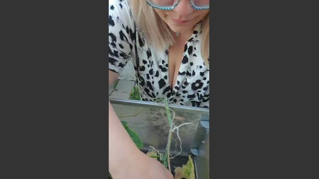 SensualMinx tits Webcam SHOW @ Cam4 07-09-2025
