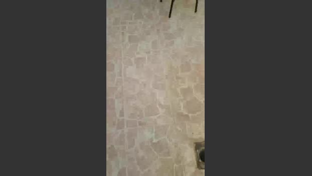 Tumorvosa XXX Webcam SHOW @ Cam4 12-09-2025