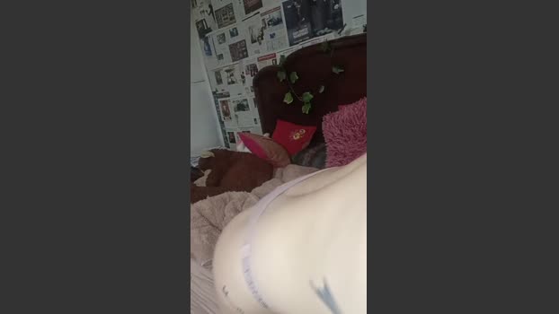 Campi01 ass Webcam SHOW @ Cam4 15-09-2025