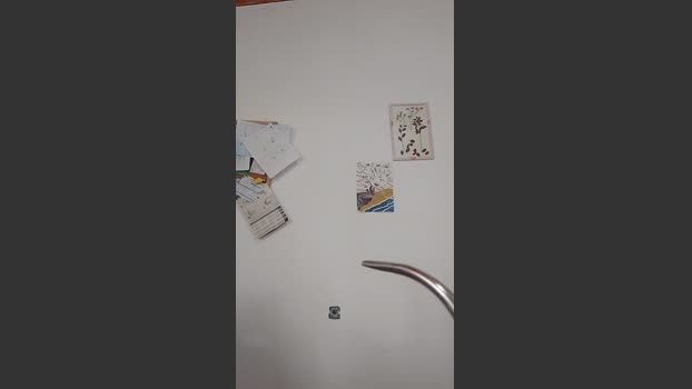 almondwithlove tits Webcam SHOW @ Cam4 19-09-2025