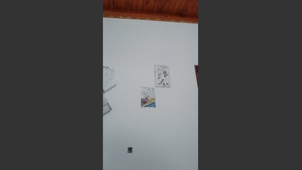 almondwithlove fuck Webcam SHOW @ Cam4 20-09-2025