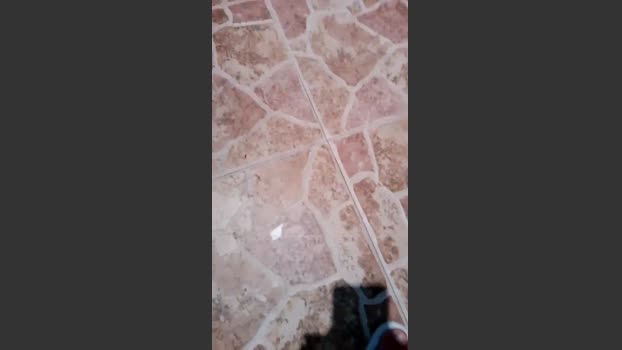 Tumorvosa bj-dildo Webcam SHOW @ Cam4 21-09-2025
