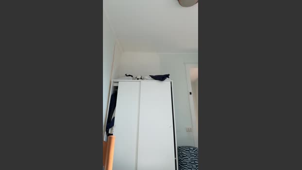 Domm99 fuck Webcam SHOW @ Cam4 23-09-2025