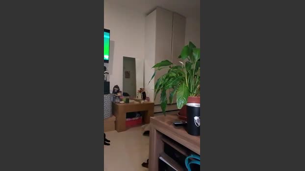 CynCordo analtoy Webcam SHOW @ Cam4 25-09-2025