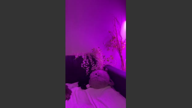 Sugarmagenta sexyfeet Webcam SHOW @ Cam4 30-09-2025