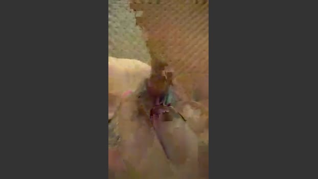 fede185353232 legs Webcam SHOW @ Cam4 30-09-2025