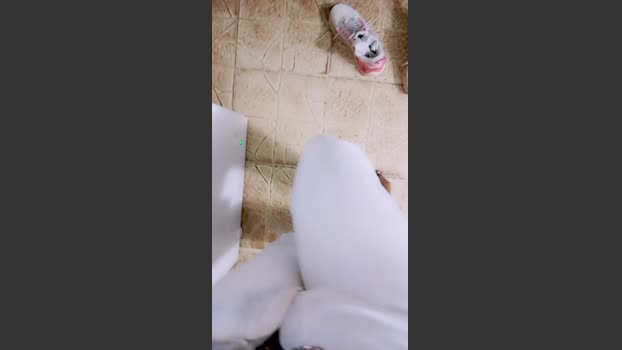 Jeans_Pee suckcock Webcam SHOW @ Cam4 04-10-2025
