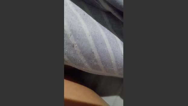 Gataonlyxx naughty Webcam SHOW @ Cam4 10-10-2025