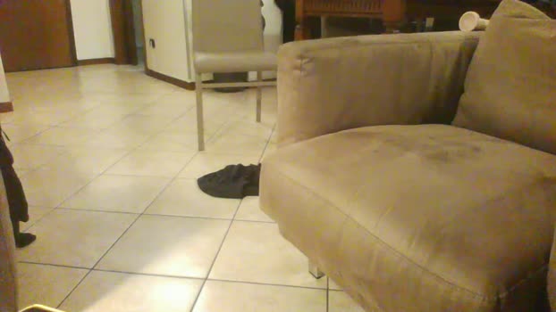 Kittysight sexyfeet Webcam SHOW @ Cam4 09-10-2025