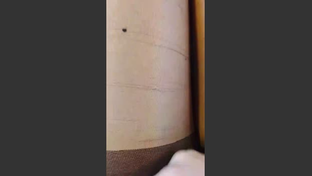 Lili12456 toy Webcam SHOW @ Cam4 13-10-2025