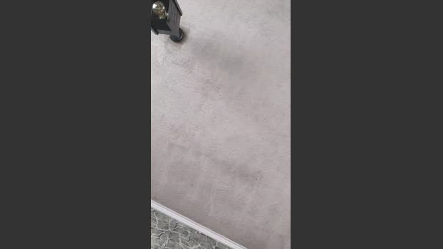 anamariaaran Porn Webcam SHOW @ Cam4 19-10-2025