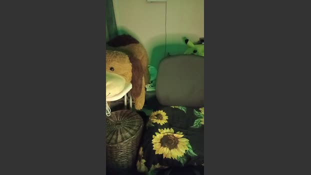 WonderYasminePT pussy Webcam SHOW @ Cam4 21-10-2025