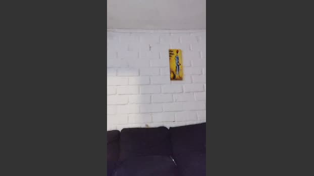 anamariaaran lickpussy Webcam SHOW @ Cam4 21-10-2025