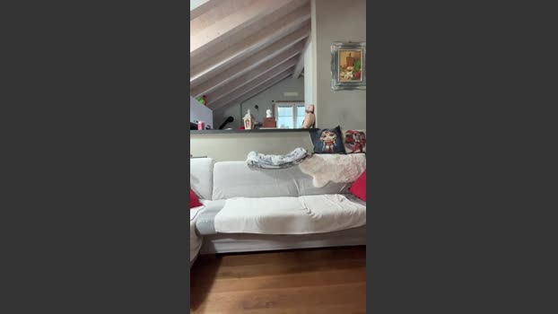 Antonella524 tits Webcam SHOW @ Cam4 24-10-2025