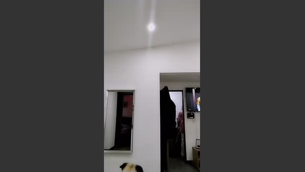 Kittyfeet1 nasty Webcam SHOW @ Cam4 27-10-2025