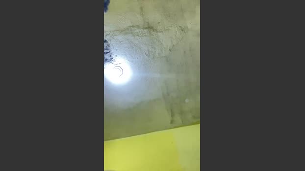 Danixayume20 fuckface Webcam SHOW @ Cam4 02-11-2025