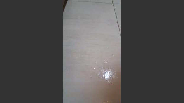 Tania__honey fuckhard Webcam SHOW @ Cam4 08-11-2025