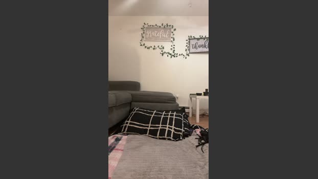 MissLondonDBrat suckcock Webcam SHOW @ Cam4 09-11-2025