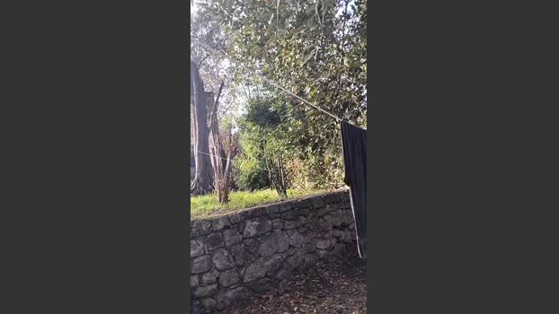Petitebombe34 fuckface Webcam SHOW @ Cam4 10-11-2025