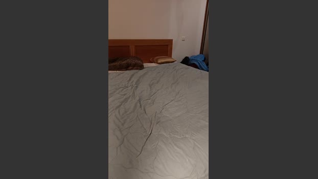 SusieRedd hardcore Webcam SHOW @ Cam4 09-11-2025