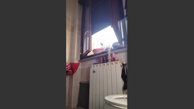luxxuriax oral Webcam SHOW @ Cam4 12-11-2025