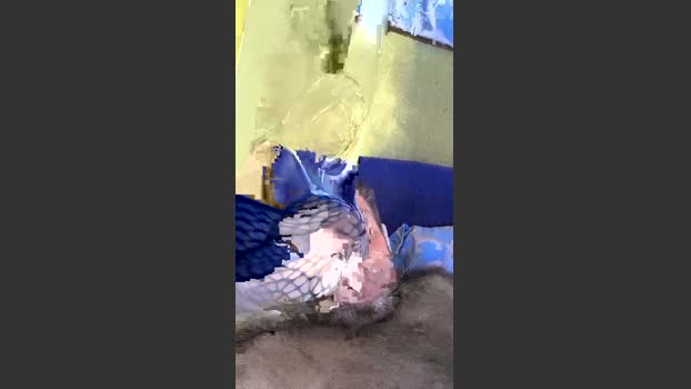 Claufiagen7 Recorded Webcam SHOW @ Cam4 13-11-2025