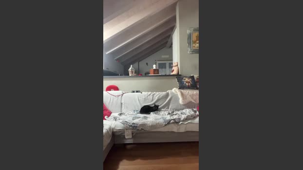 Antonella524 kinky Webcam SHOW @ Cam4 17-11-2025