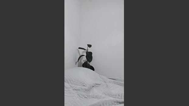 anmp20004 suck Webcam SHOW @ Cam4 20-11-2025