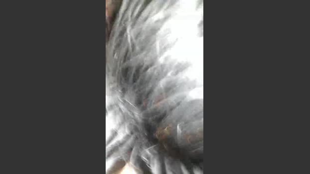 Poppork naked Webcam SHOW @ Cam4 24-11-2025