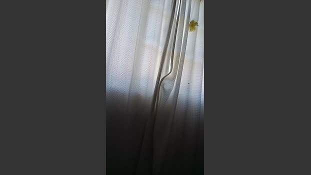 jazmin181 skinny Webcam SHOW @ Cam4 25-11-2025