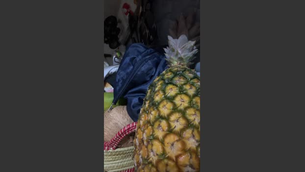Marinomade Ass Webcam SHOW @ Cam4 26-11-2025