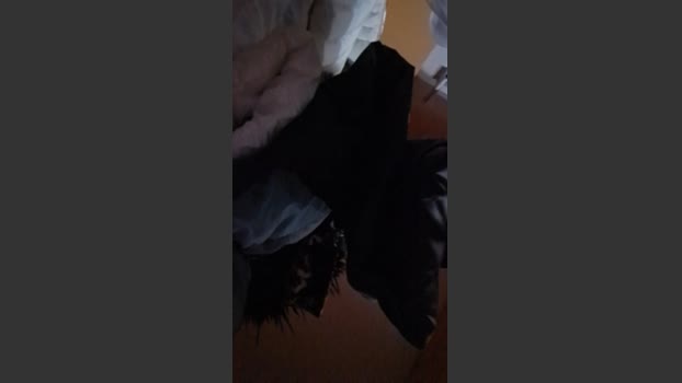 Ywett_Doll dirty Webcam SHOW @ Cam4 25-11-2025