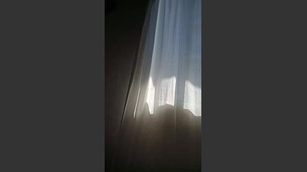 jazmin181 strip Webcam SHOW @ Cam4 26-11-2025