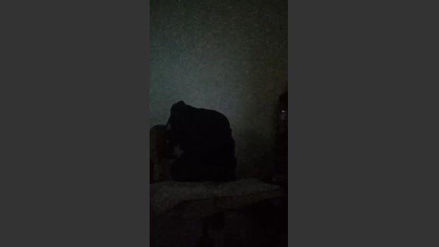 anaana_sexy tits Webcam SHOW @ Cam4 29-11-2025