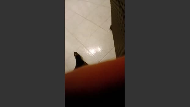 alessandravite1 fuckme Webcam SHOW @ Cam4 30-11-2025