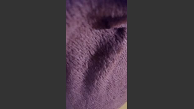 veuhsaltyhot big Webcam SHOW @ Cam4 07-12-2025