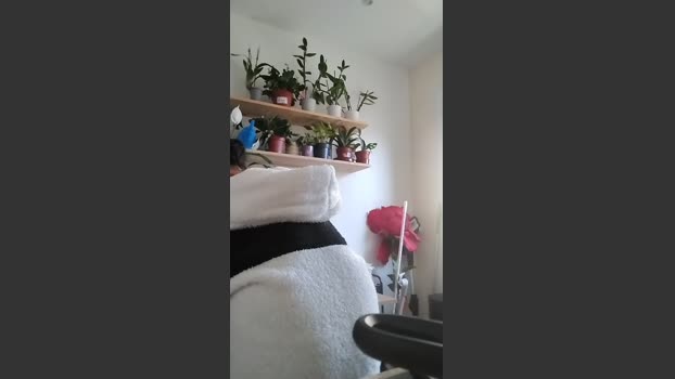 Asiancat83 suck Webcam SHOW @ Cam4 08-12-2025
